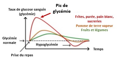 Courbe de glycémie après un repas : pic avec frites ou pain blanc, plus stable avec fruits et légumes
