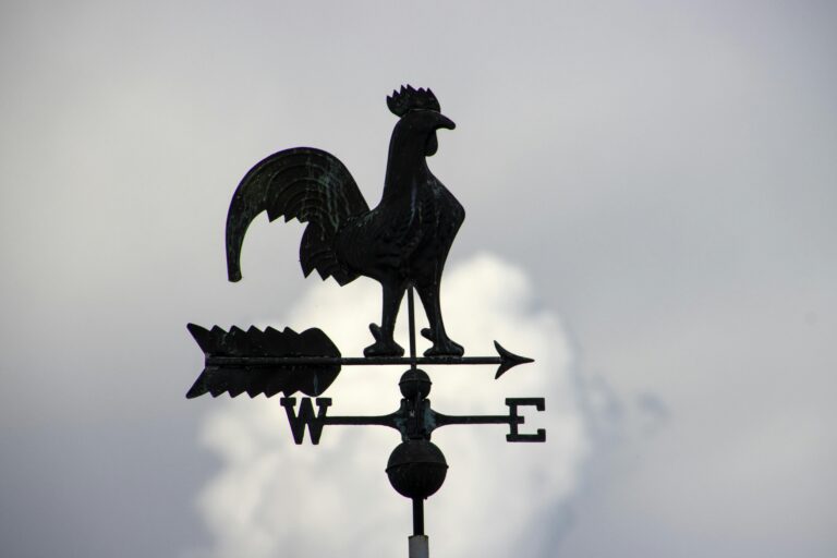 Girouette en forme de coq se découpant sur un ciel nuageux